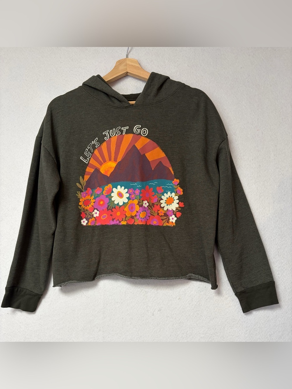 Natural Life “Let’s Just Go” Cropped Hoodie Sweatshirt Charcoal Graphic Small - Picture 3 of 8